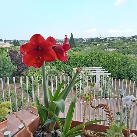 Casa Mastronardi Bed and Breakfast Castellana Grotte Εξωτερικό φωτογραφία