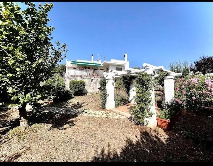 Casa Mastronardi Bed and Breakfast Castellana Grotte Εξωτερικό φωτογραφία